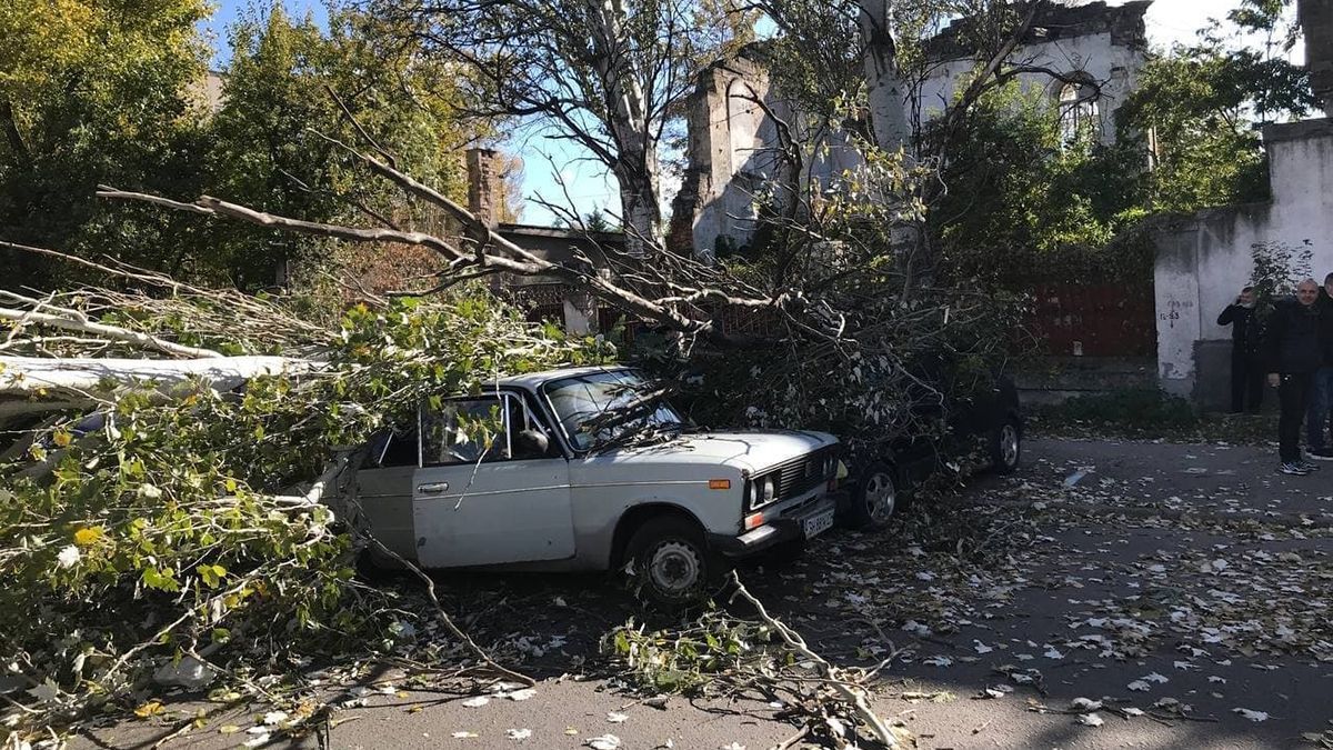 Почався деревопад в Одесі: показали наслідки сильних поривів вітру - Україна новини - 24 Канал