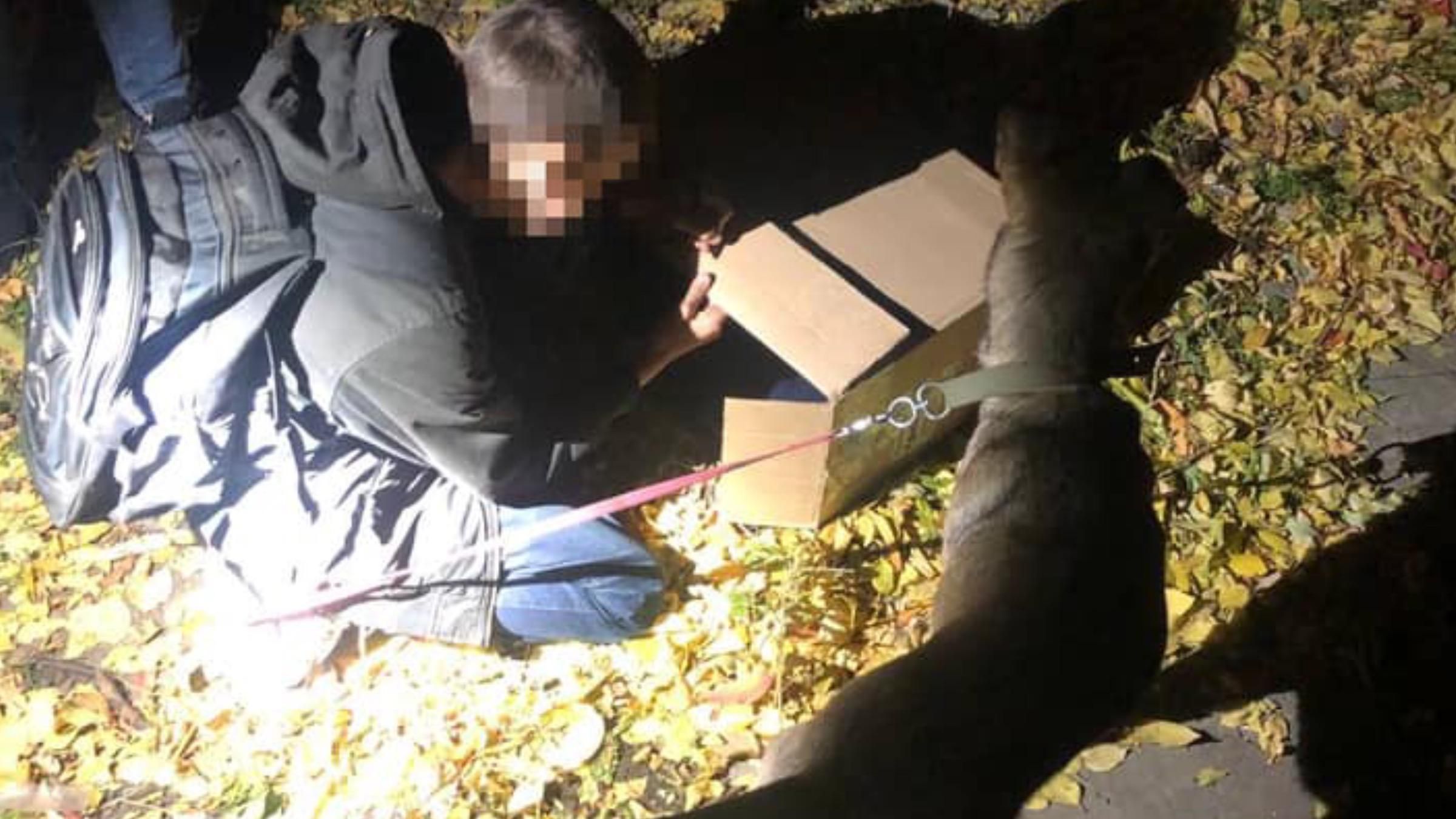 Без собаки я никуда не пойду, – мальчик убежал, потому что мама не позволила забрать животное