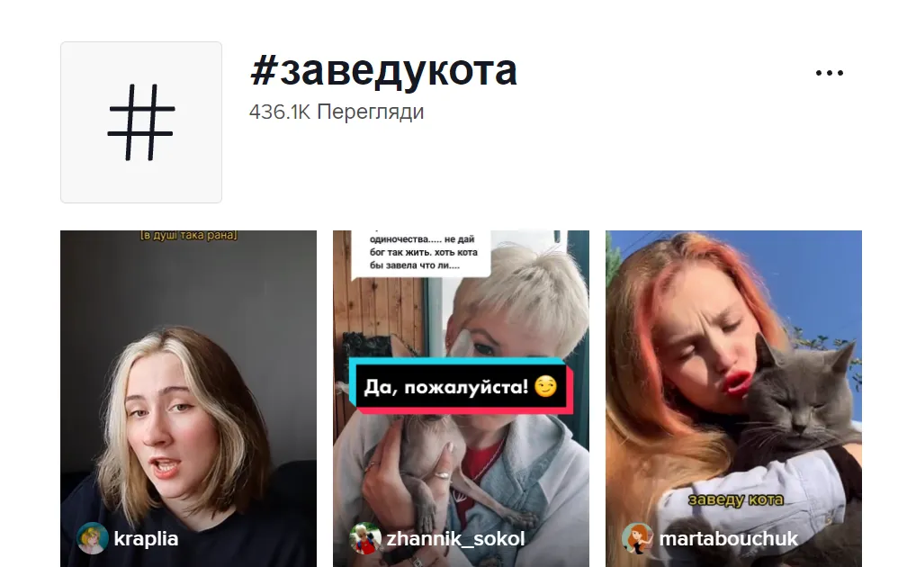 Заведу кота Заведу кота