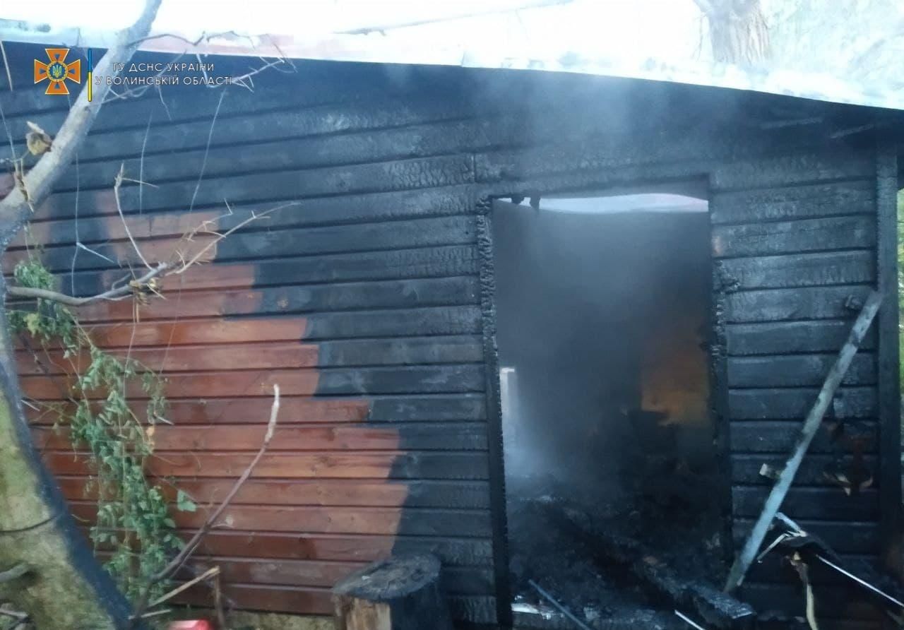 В Луцке горел зоопарк: погибло семейство обезьян В Луцке горел зоопарк: погибло семейство обезьян