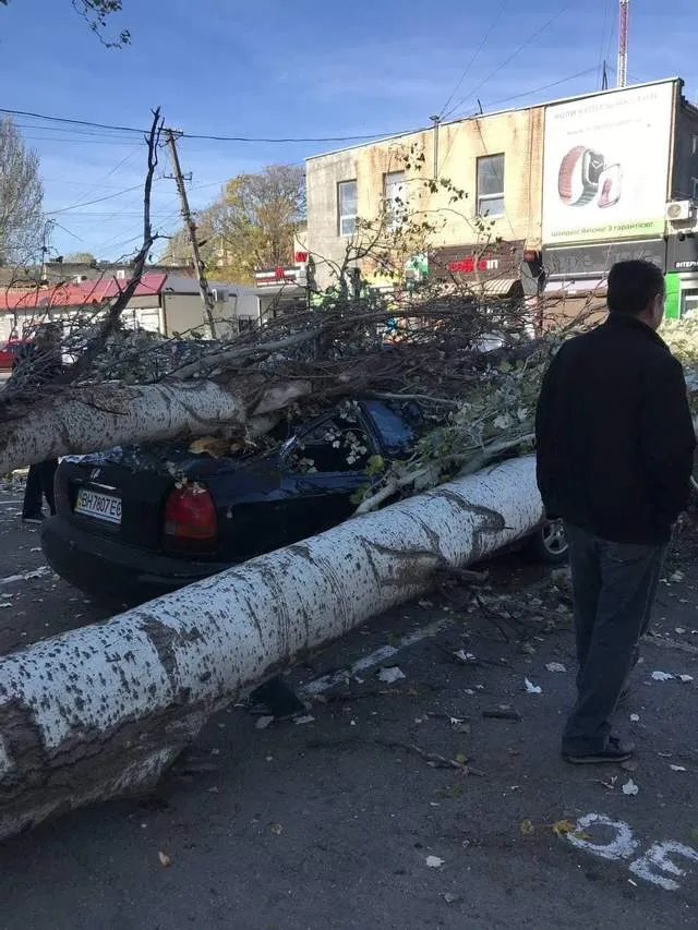 Дерево потрощило авто в Одесі