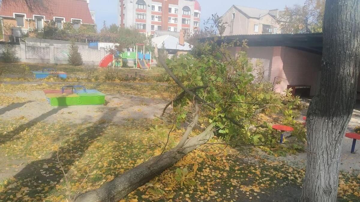 В детсаду на Полтавщине дерево упало на детей В детсаду на Полтавщине дерево упало на детей