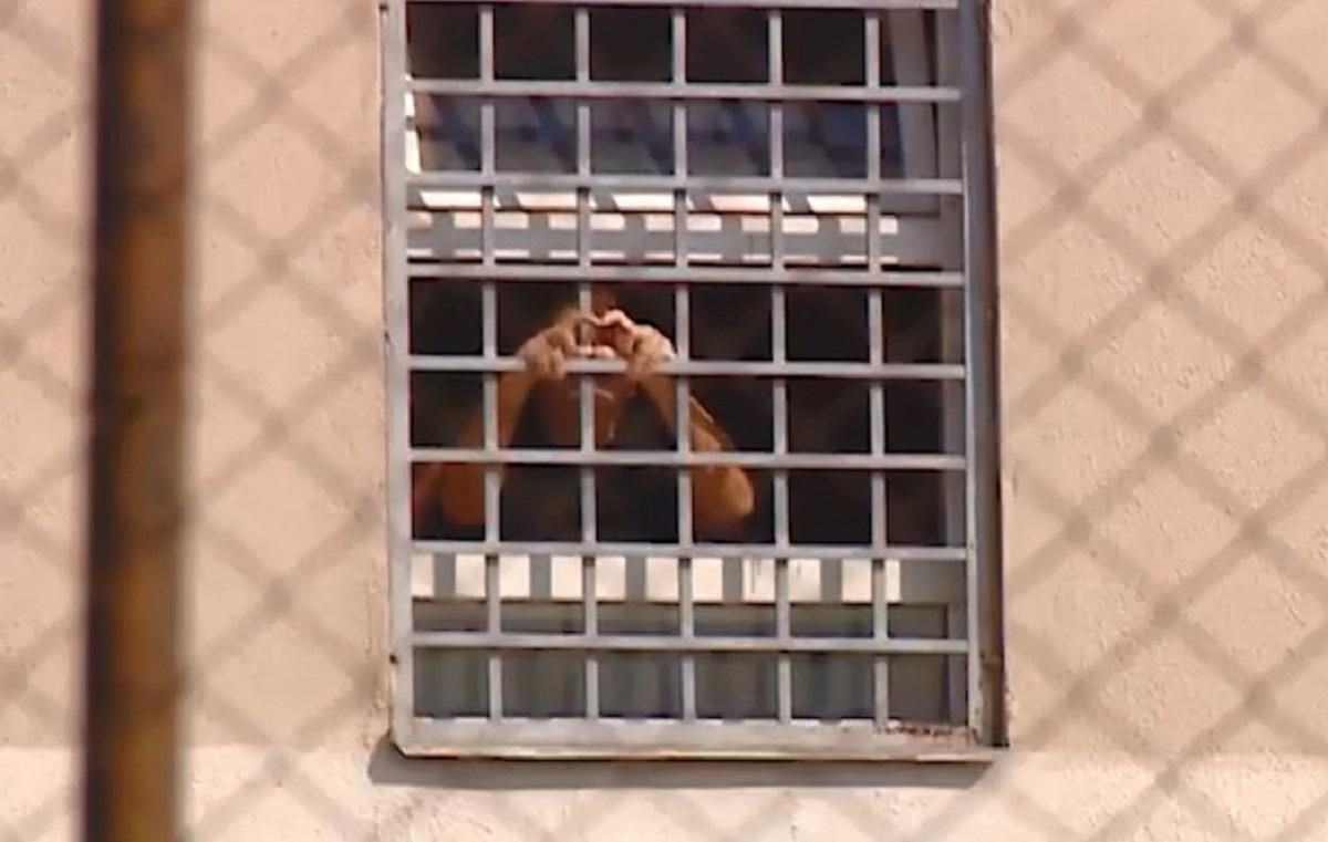 Шле "сердечка": в мережі з'явилося перше відео зі заарештованим у Грузії Саакашвілі - 24 Канал Шле "сердечка": в мережі з'явилося перше відео зі заарештованим у Грузії Саакашвілі - 24 Канал