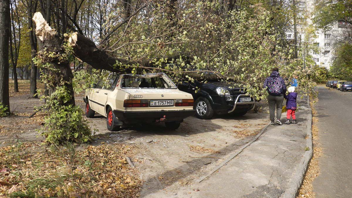 Поваленные деревья крушат авто: Днепр накрыл шквальный ветер – фото последствий