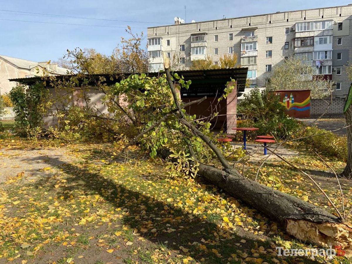 Померла дівчинка, на яку в дитсадку Кременчука впало дерево - Новини Полтави - 24 Канал