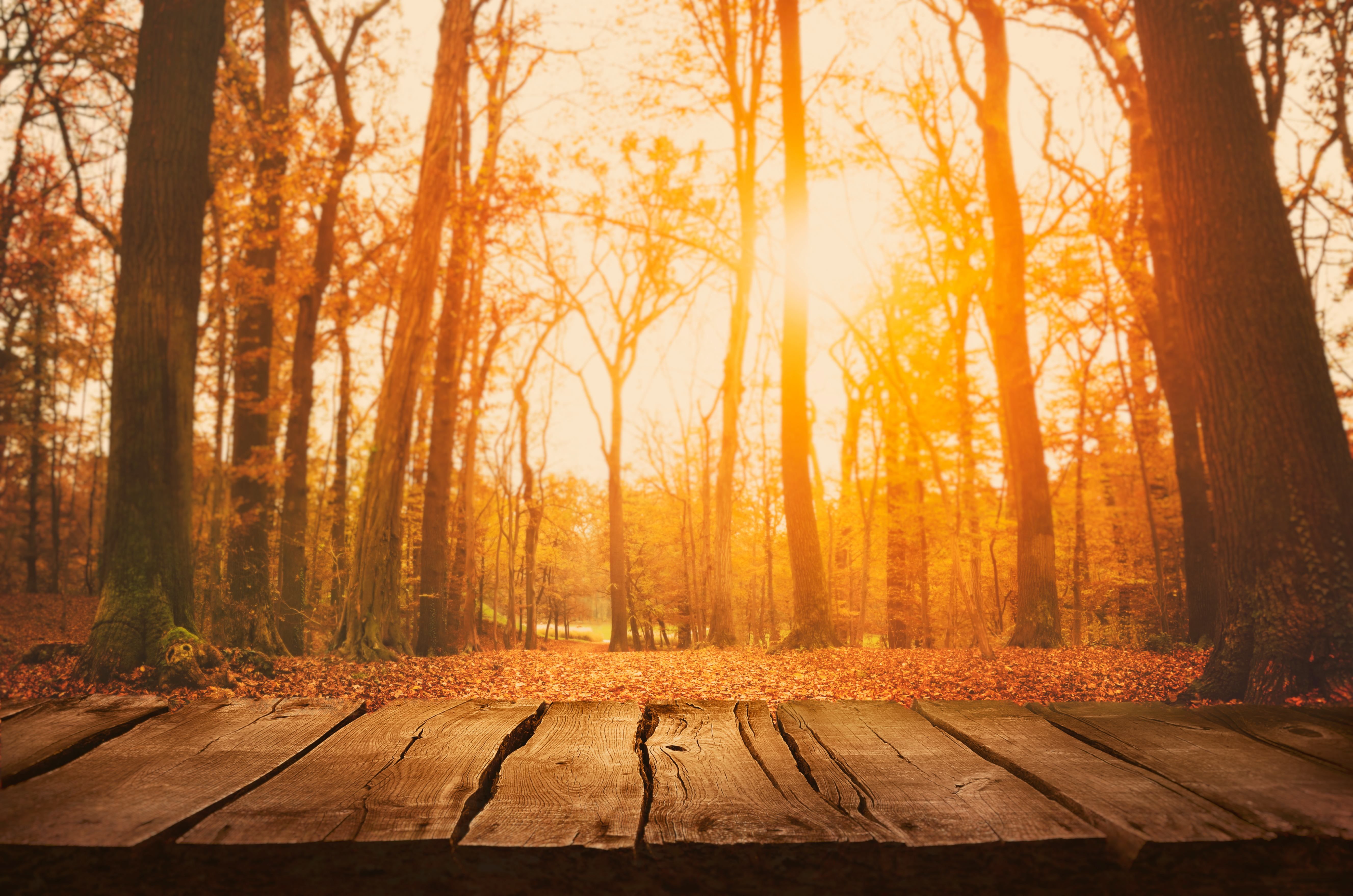 Погода на 25 октября 2021 в Украине: что прогнозируют синоптики Погода на 25 октября 2021 в Украине: что прогнозируют синоптики