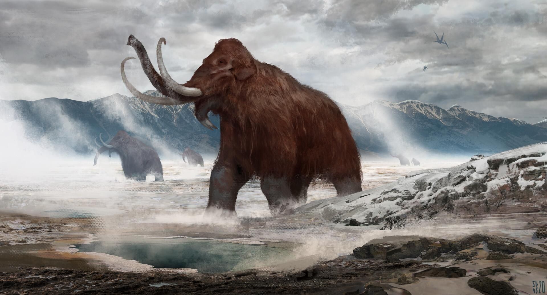 Мамонты вымерли не из-за людей: ученые нашли причину Мамонты вымерли не из-за людей: ученые нашли причину