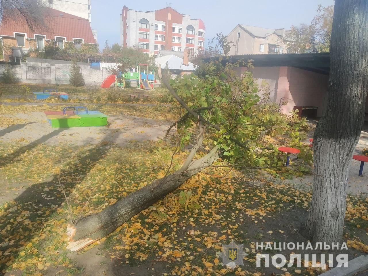 Врачи рассказали о состоянии мальчика, на которого в детском саду Кременчуга упало дерево