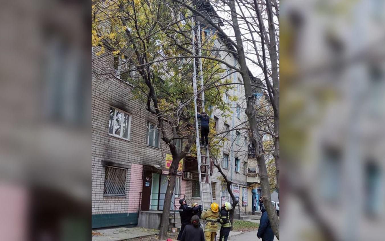 Залезла на высоту четвертого этажа: спасатели Никополя снимали с дерева беременную женщину Залезла на высоту четвертого этажа: спасатели Никополя снимали с дерева беременную женщину