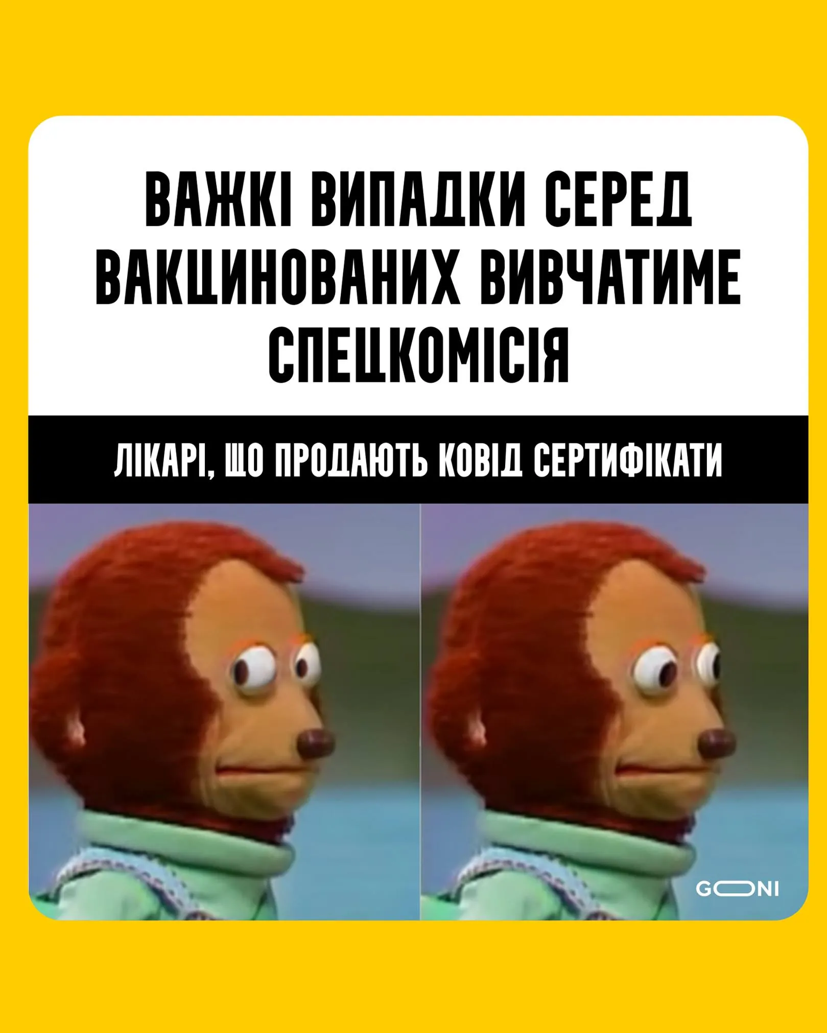 меми тижня