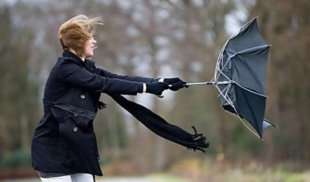 В Киеве до конца дня объявили штормовое предупреждение В Киеве до конца дня объявили штормовое предупреждение