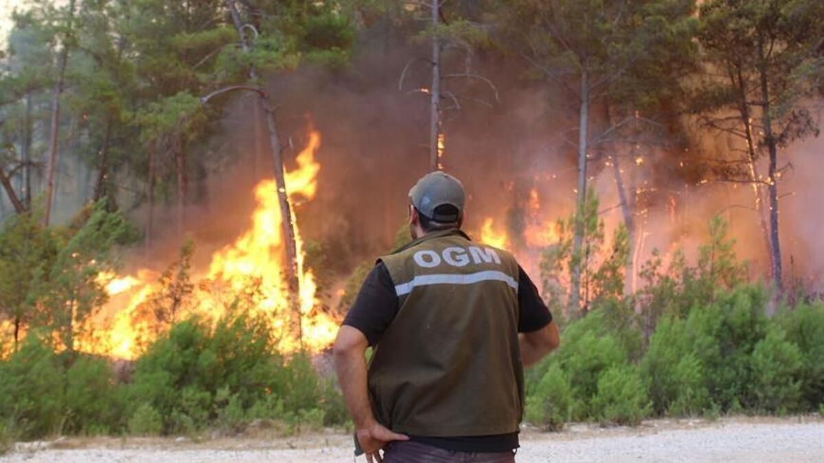 В Турции задержали 7 российских туристов из-за поджога леса