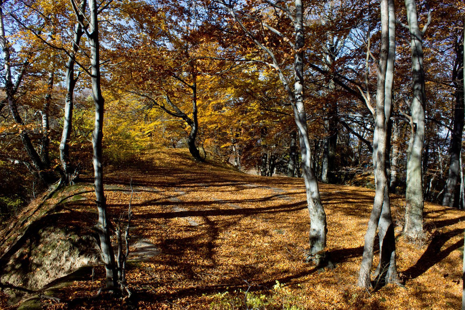 Погода на ноябрь 2021 в Украине: прогноз, каким будет месяц Погода на ноябрь 2021 в Украине: прогноз, каким будет месяц