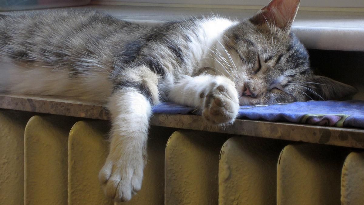 Когда начнется отопительный сезон в Одессе: назвали точную дату Когда начнется отопительный сезон в Одессе: назвали точную дату