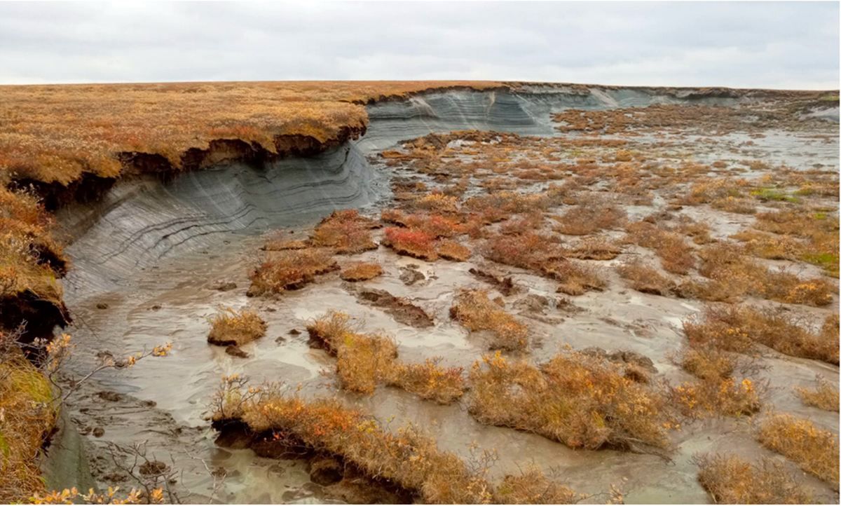 Ученые предупреждают об опасности таяния вечной мерзлоты Ученые предупреждают об опасности таяния вечной мерзлоты