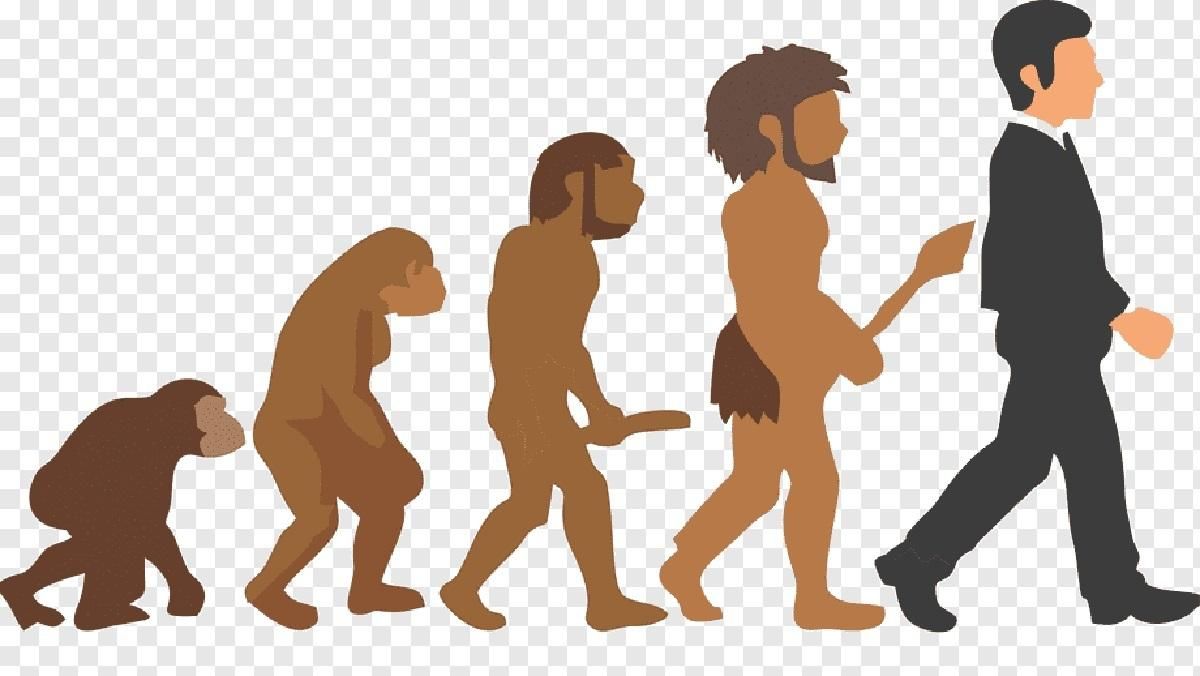 Чому та коли мозок людини почав зменшуватися - Новини технологій - Техно Чому та коли мозок людини почав зменшуватися - Новини технологій - Техно