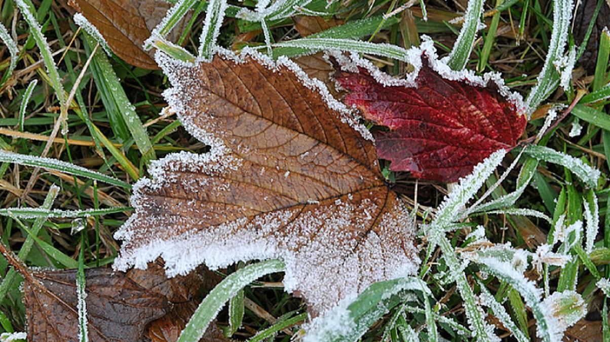 После 219 дней тепла в Киеве зафиксировали первые морозы После 219 дней тепла в Киеве зафиксировали первые морозы