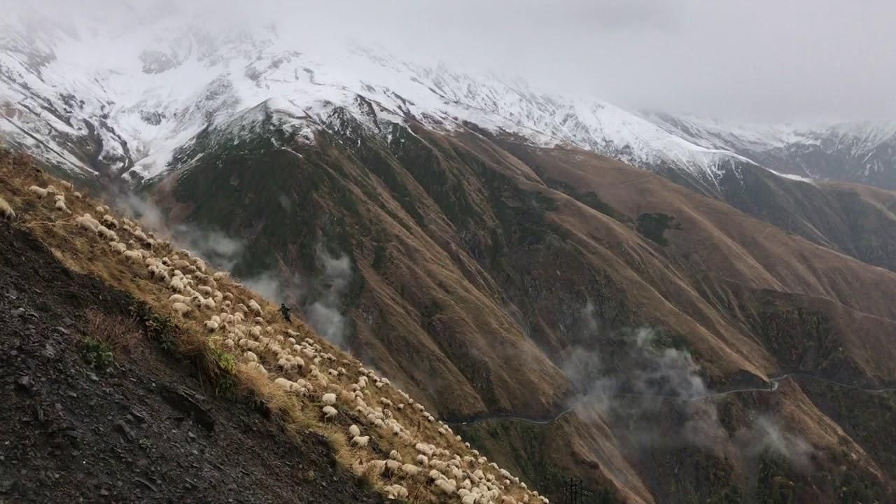 Високогірний район Грузії відрізаний від світу через сильний снігопад - Грузія новини - 24 Канал Високогірний район Грузії відрізаний від світу через сильний снігопад - Грузія новини - 24 Канал