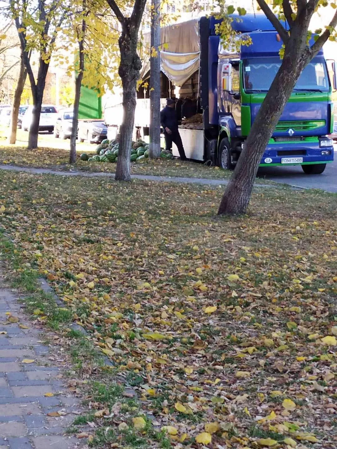 Продаж кавунів у Києві, торговець викинув на Оболоні гору гнилого товару Продаж кавунів у Києві, торговець викинув на Оболоні гору гнилого товару