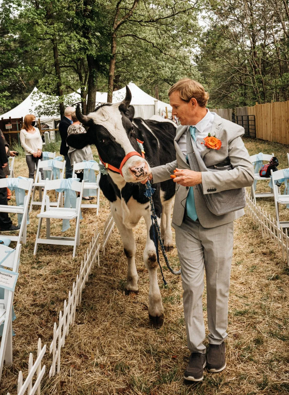 Влюбленные пригласили своих животных на собственную свадьбу