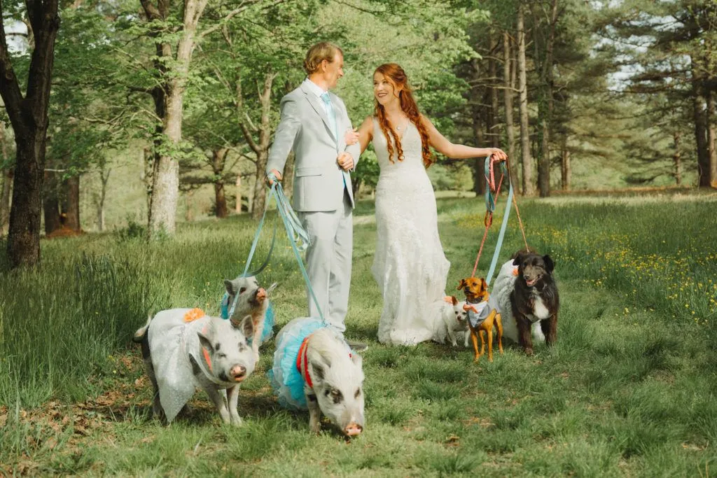 Наречені влаштували весільну фотосесію зі своїми тваринами Наречені влаштували весільну фотосесію зі своїми тваринами