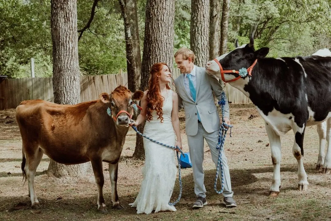 Наречені влаштували весільну фотосесію зі своїми тваринами 