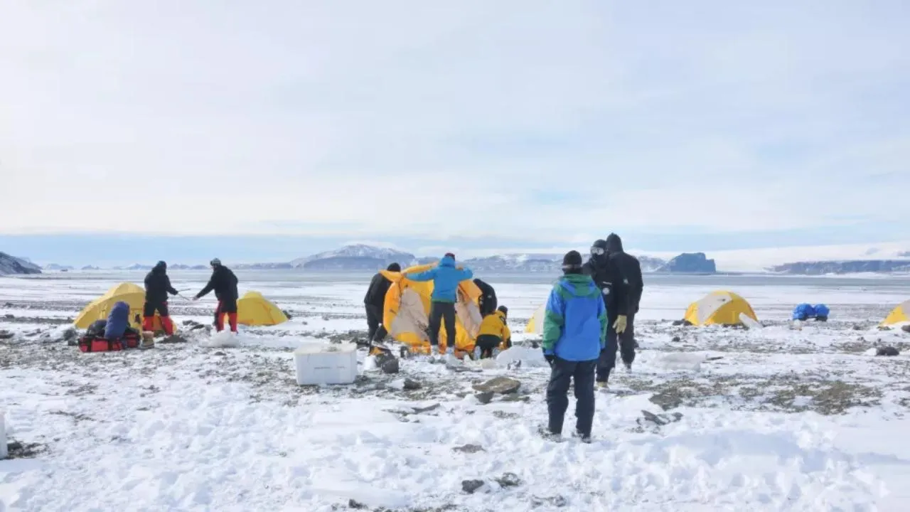 Польовий табір Польовий табір