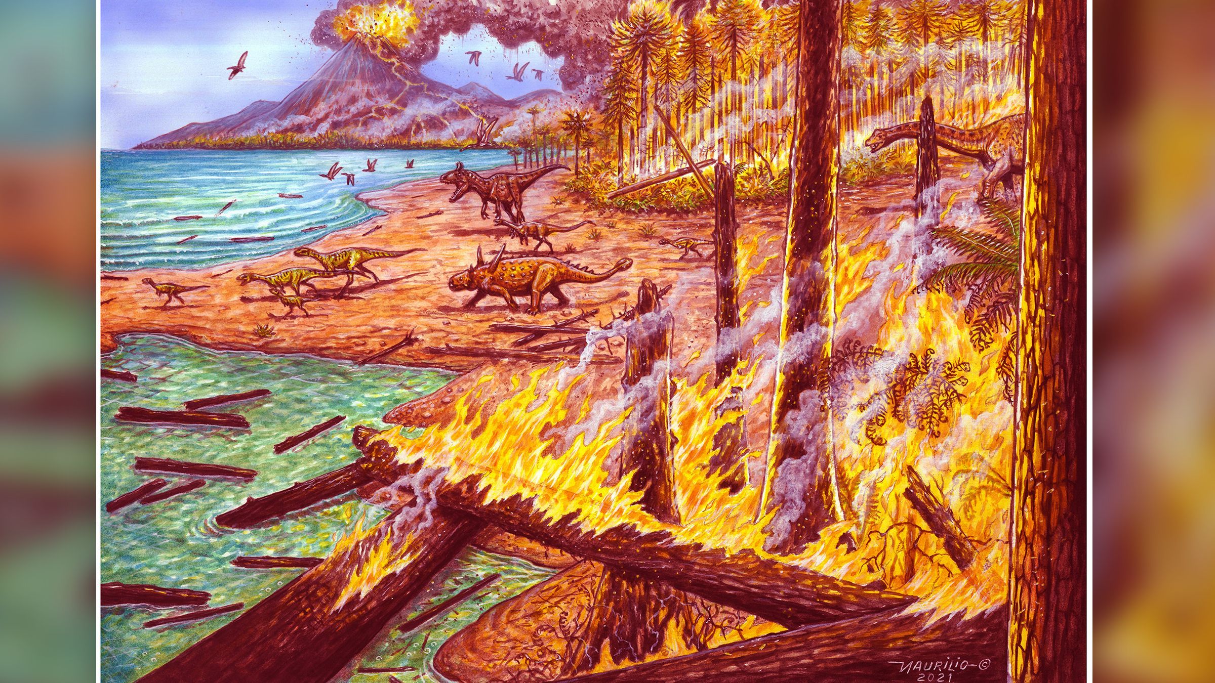Пышные леса Антарктиды пострадали от масштабного пожара, который бушевал 75 миллионов лет назад