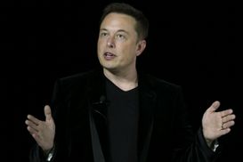 Ілон Маск розповів, якими криптовалютами володіє: Shiba inu серед них немає