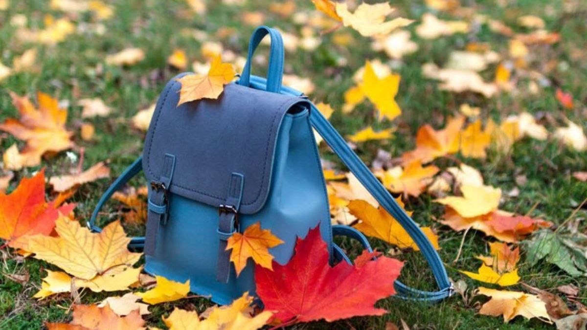 Осенние каникулы продлили до 7 ноября 2021 года: список школ Осенние каникулы продлили до 7 ноября 2021 года: список школ