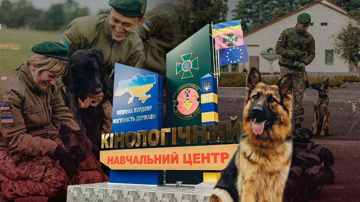 Як собак готують до служби на кордоні в Кінологічному навчальному центрі  - 24 Канал