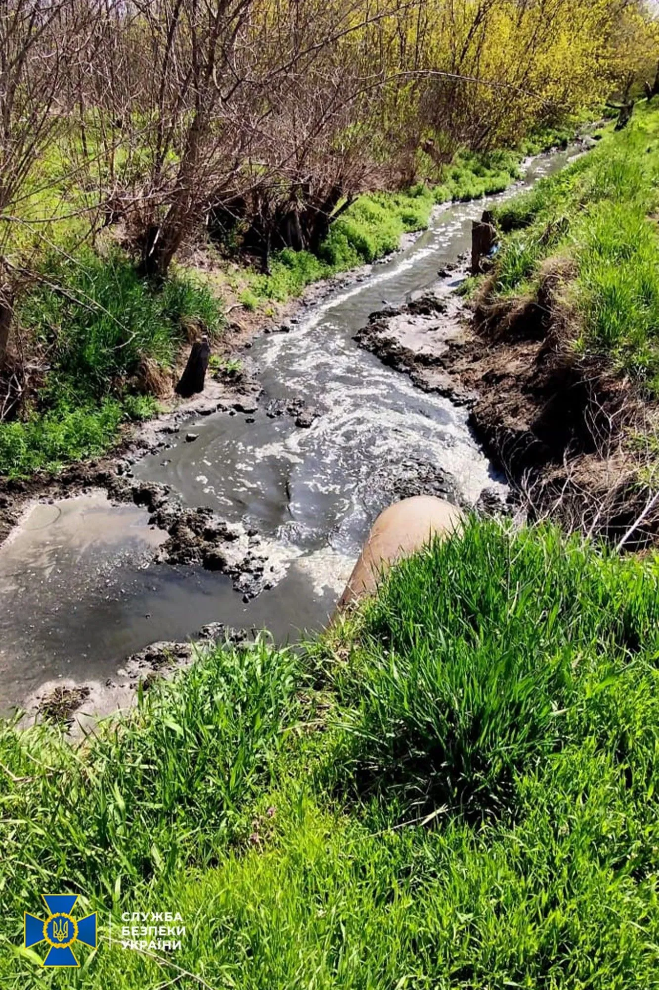 На Кіровоградщині виявили забруднення річки Інгул