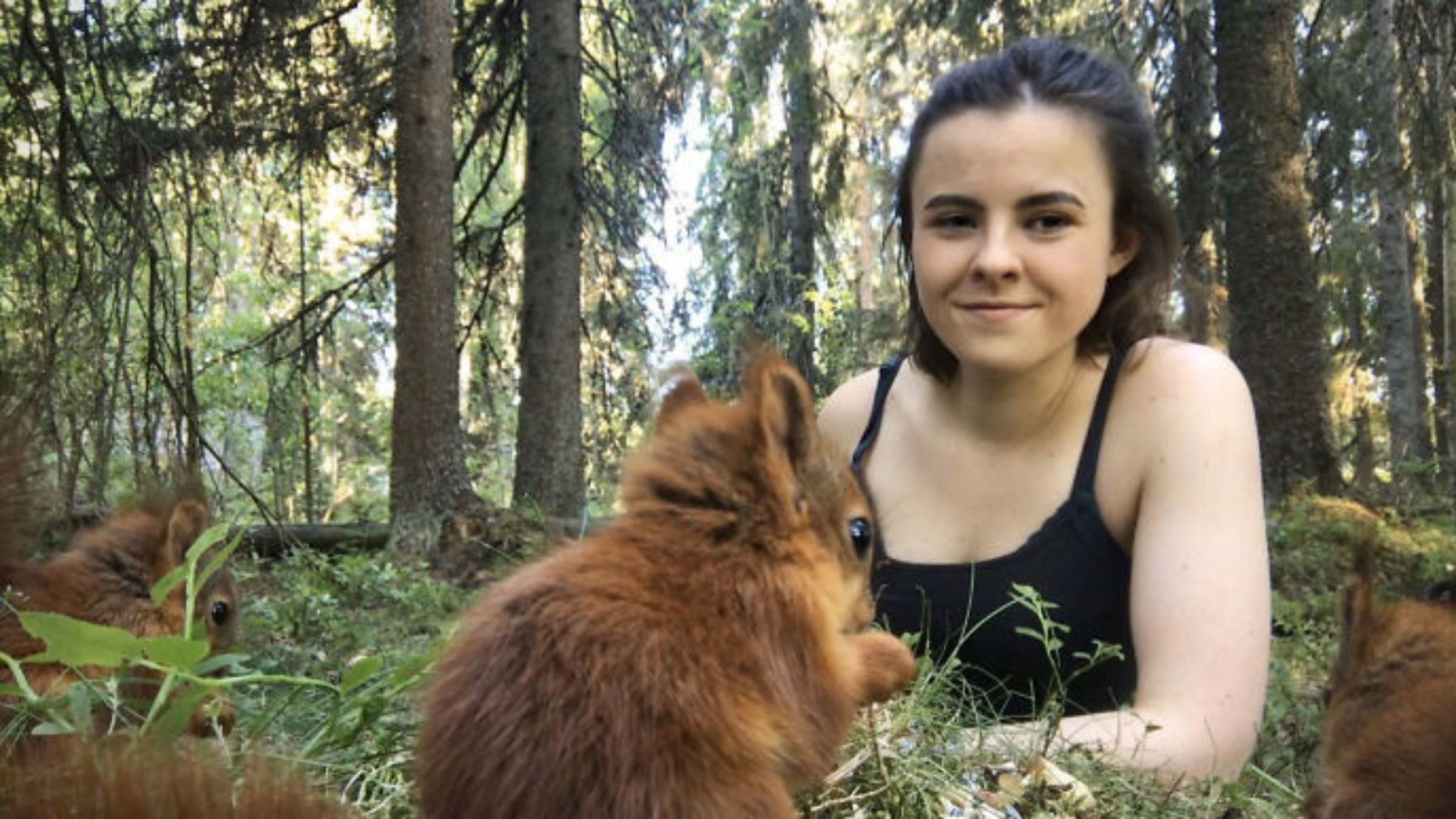 Надзвичайно милий звук: дівчина записала відео з білченям, який жує горішок