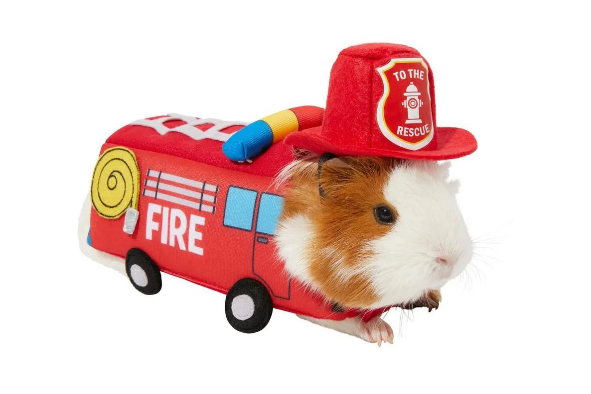 Костюми для тварин на Геловін Костюми для тварин на Геловін