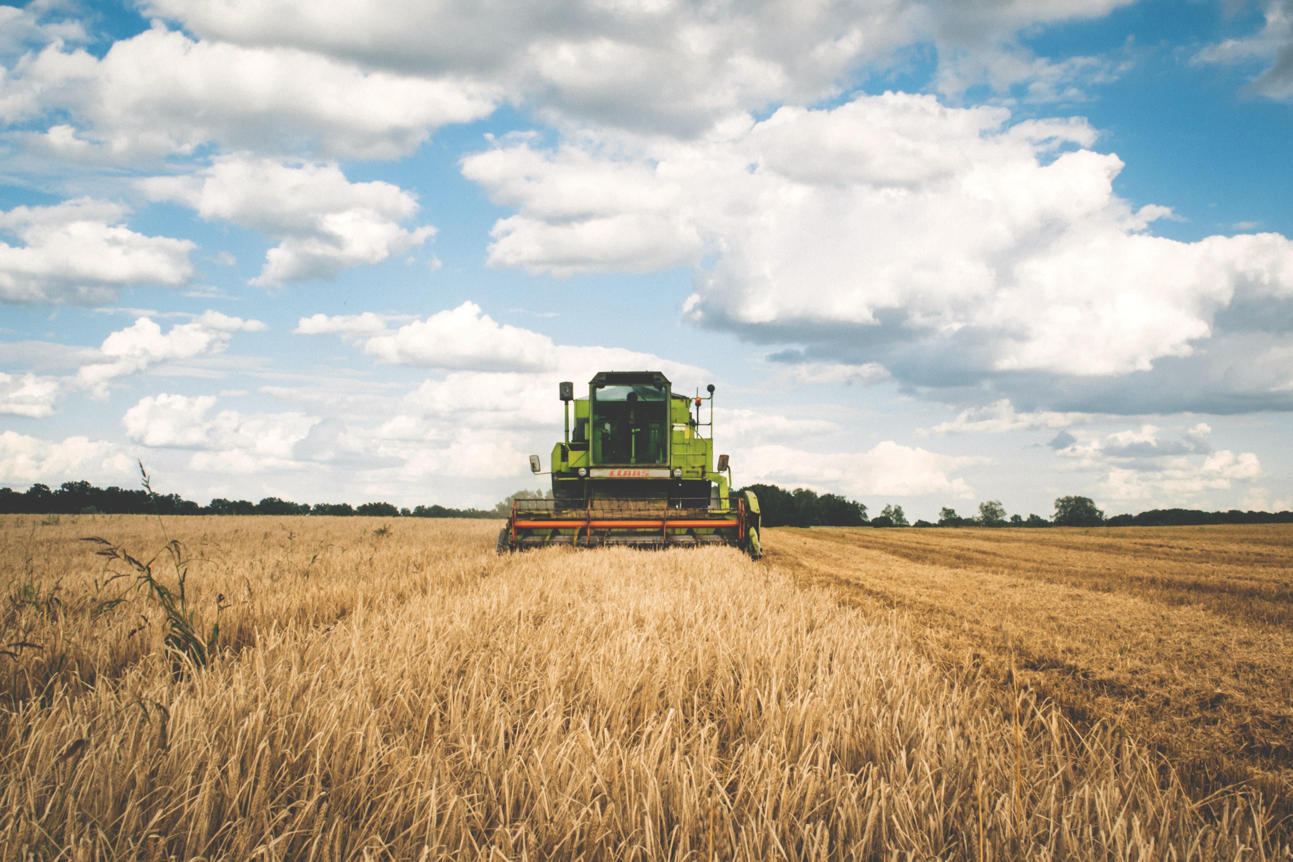 Рекордний врожай принесе Україні 0,8% ВВП, – Нацбанк - новини НБУ - Економіка
