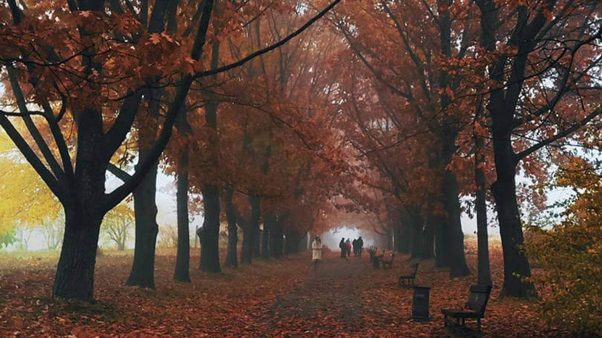 Київ огорнув густющий туман: містичні фото столиці - 24 Канал Київ огорнув густющий туман: містичні фото столиці - 24 Канал