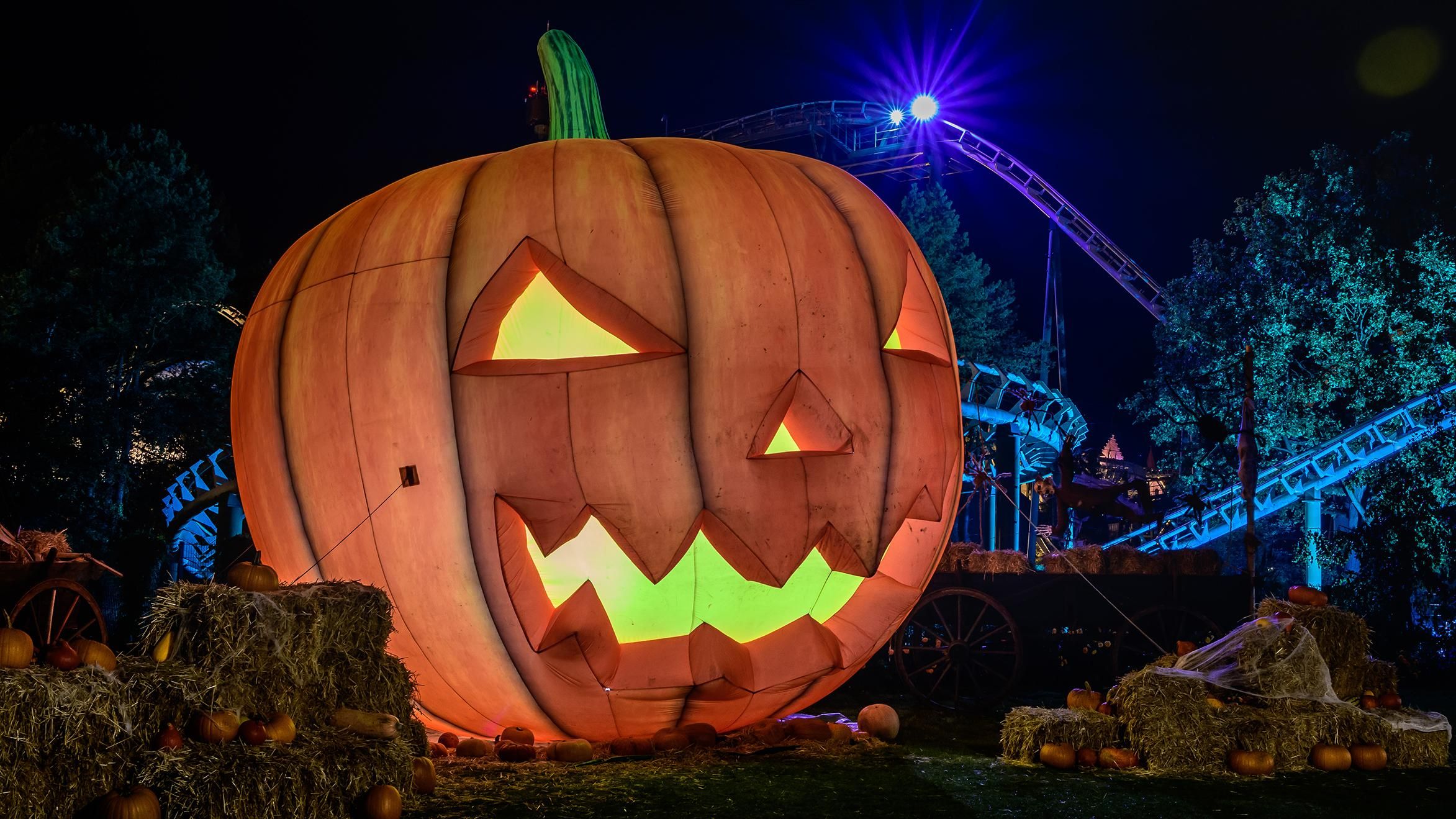 Google создал дудл к Хеллоуину: история и особенности праздника - Новости технологий - Техно Google создал дудл к Хеллоуину: история и особенности праздника - Новости технологий - Техно