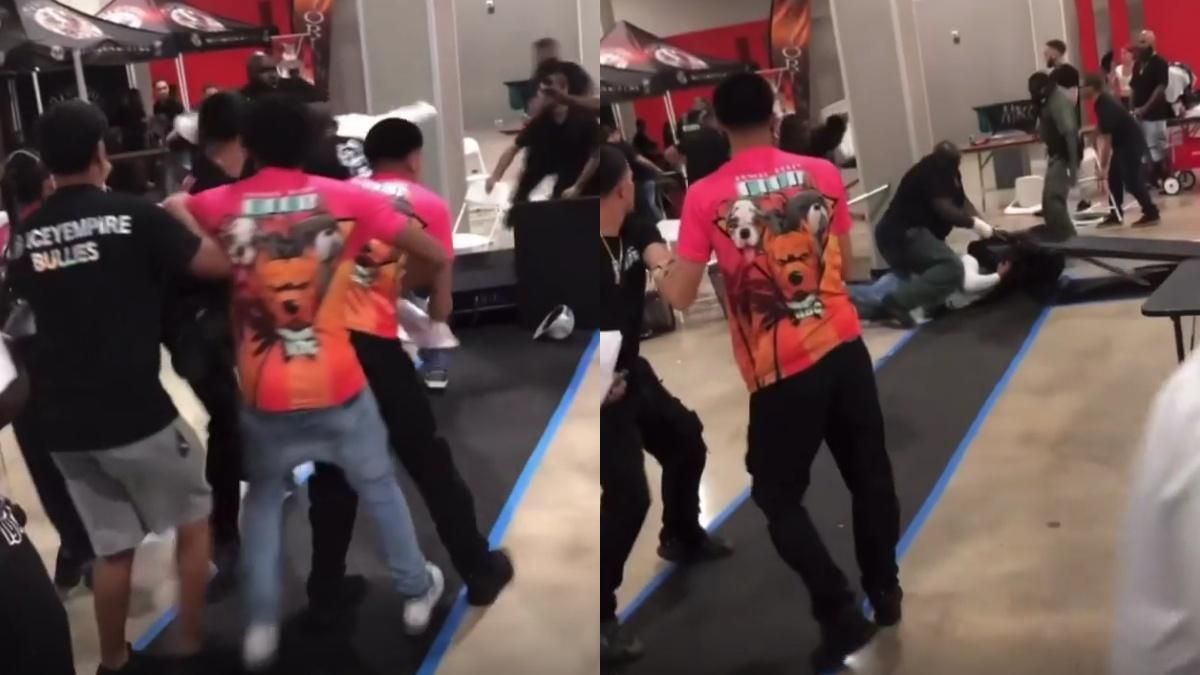 У Маямі довелося зупиняти виставку песиків через масову бійку - 24 Канал У Маямі довелося зупиняти виставку песиків через масову бійку - 24 Канал