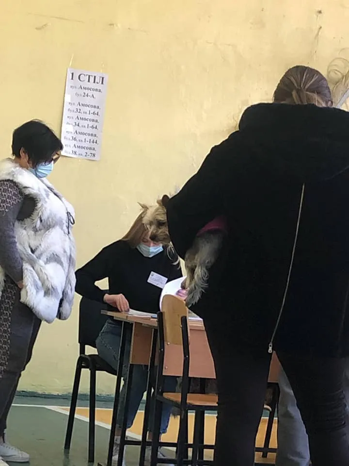 Вибори мера Харкова, голосування у Харкові, виборці принесли із собою собак і котів