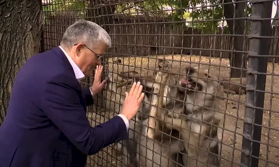 Директор Одеського зоопарку перетворився на вовкулаку