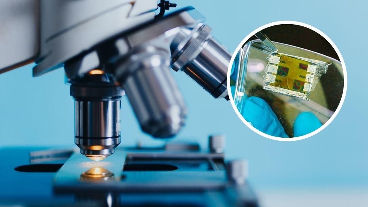 Аккумулятор не проблема: инженеры разработали "невесомые" солнечные панели для микроэлектроники. Аккумулятор не проблема: инженеры разработали "невесомые" солнечные панели для микроэлектроники.