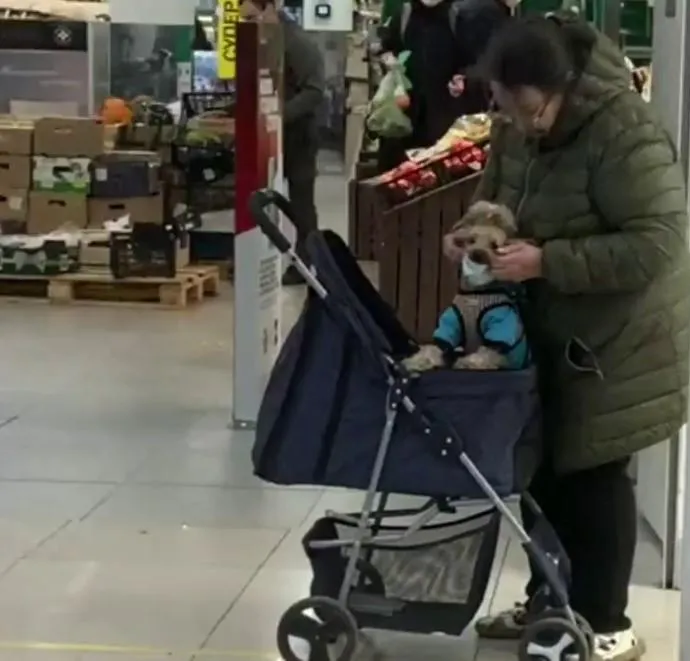 У Росії жінка одягла на собаку маску в супермаркеті, карантин, червона зона