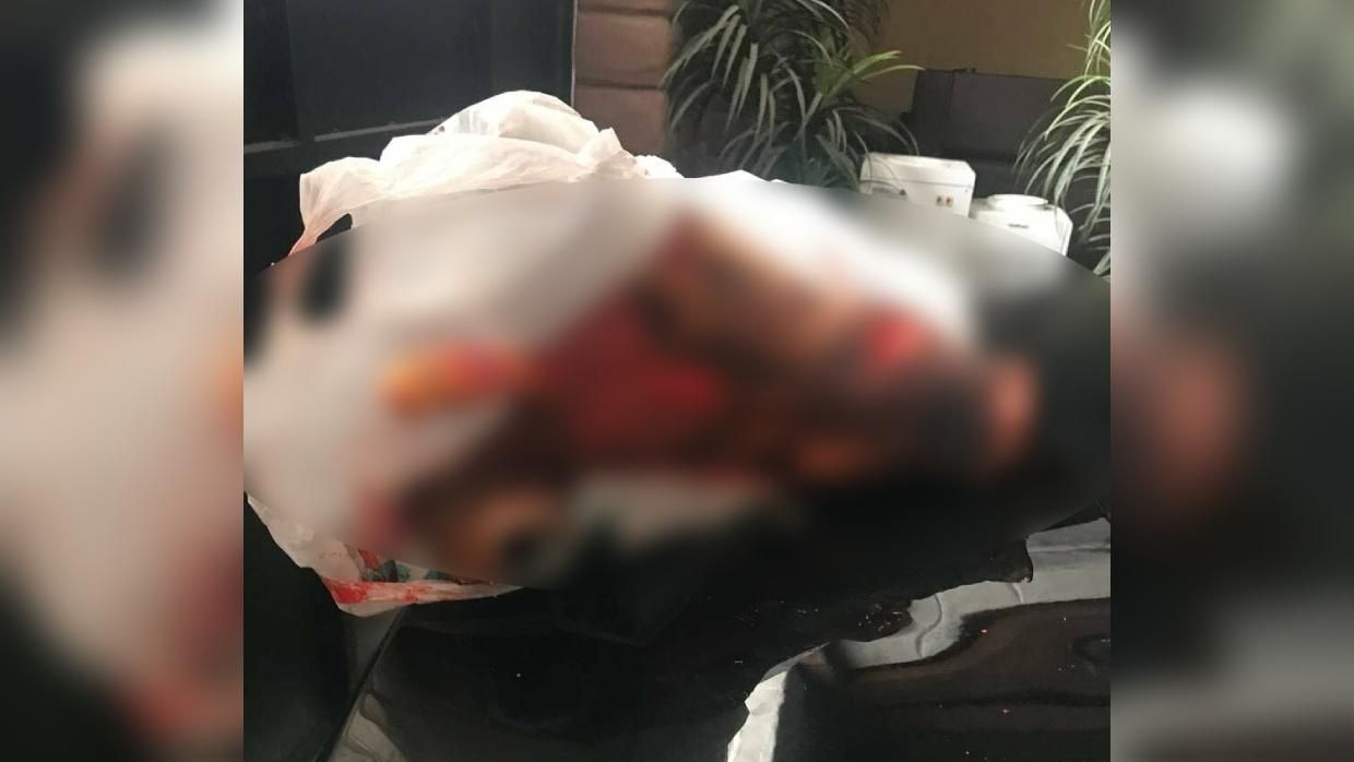 У Чорноморську невідомий підкинув свиню з ножем в голові на подвір'я: моторошні фото - Новини Одеси - 24 Канал У Чорноморську невідомий підкинув свиню з ножем в голові на подвір'я: моторошні фото - Новини Одеси - 24 Канал