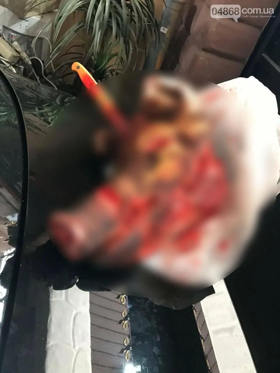 Підкинули свиню зножем у голові Підкинули свиню зножем у голові