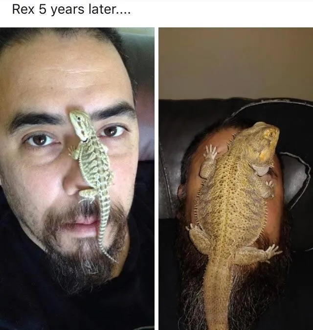 А він добряче виріс за 5 років А він добряче виріс за 5 років