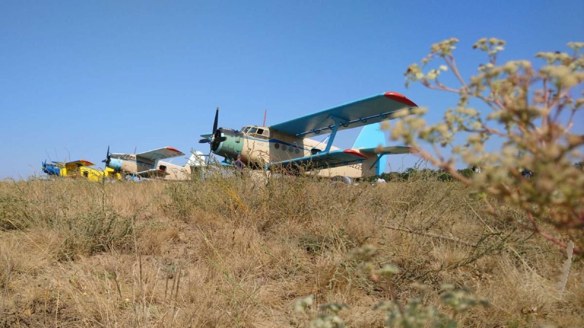 На Харківщині з літаків розкидають вакцину: чому це необхідно - Україна новини - 24 Канал На Харківщині з літаків розкидають вакцину: чому це необхідно - Україна новини - 24 Канал