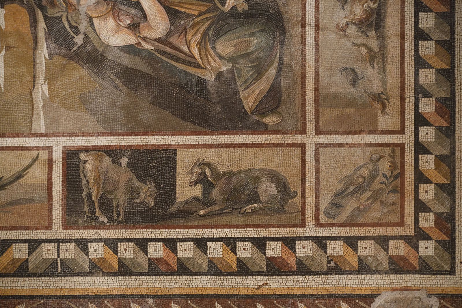 Чудо під розкішним готелем: фото найбільшої стародавньої мозаїки в світі - Новини технологій - Техно Чудо під розкішним готелем: фото найбільшої стародавньої мозаїки в світі - Новини технологій - Техно