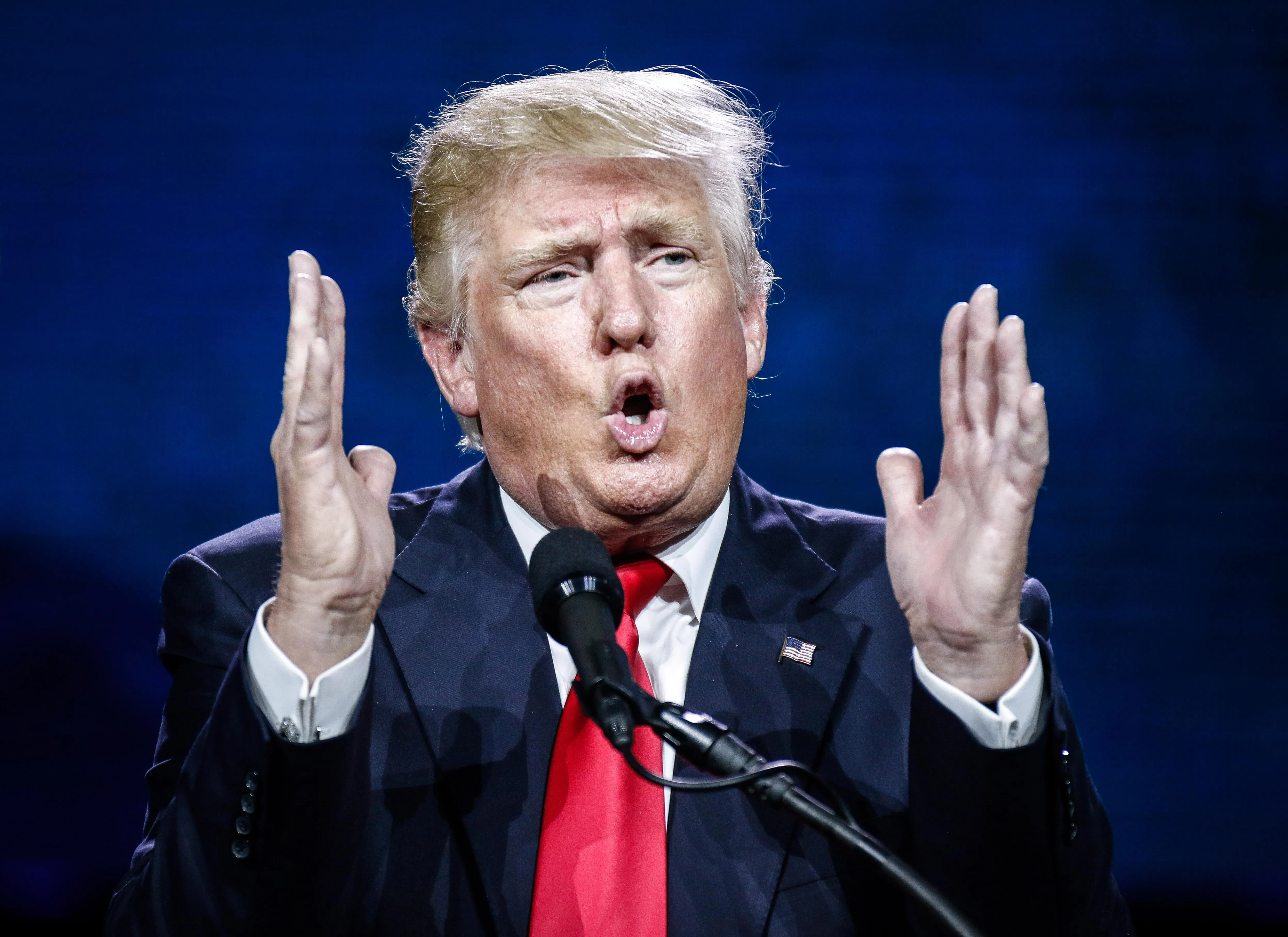 Трамп Трамп