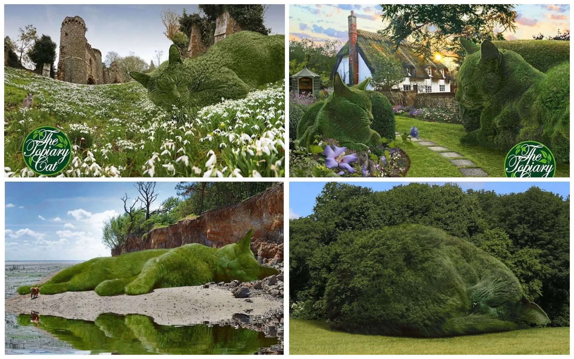 Кіт Топіарій Кіт Топіарій