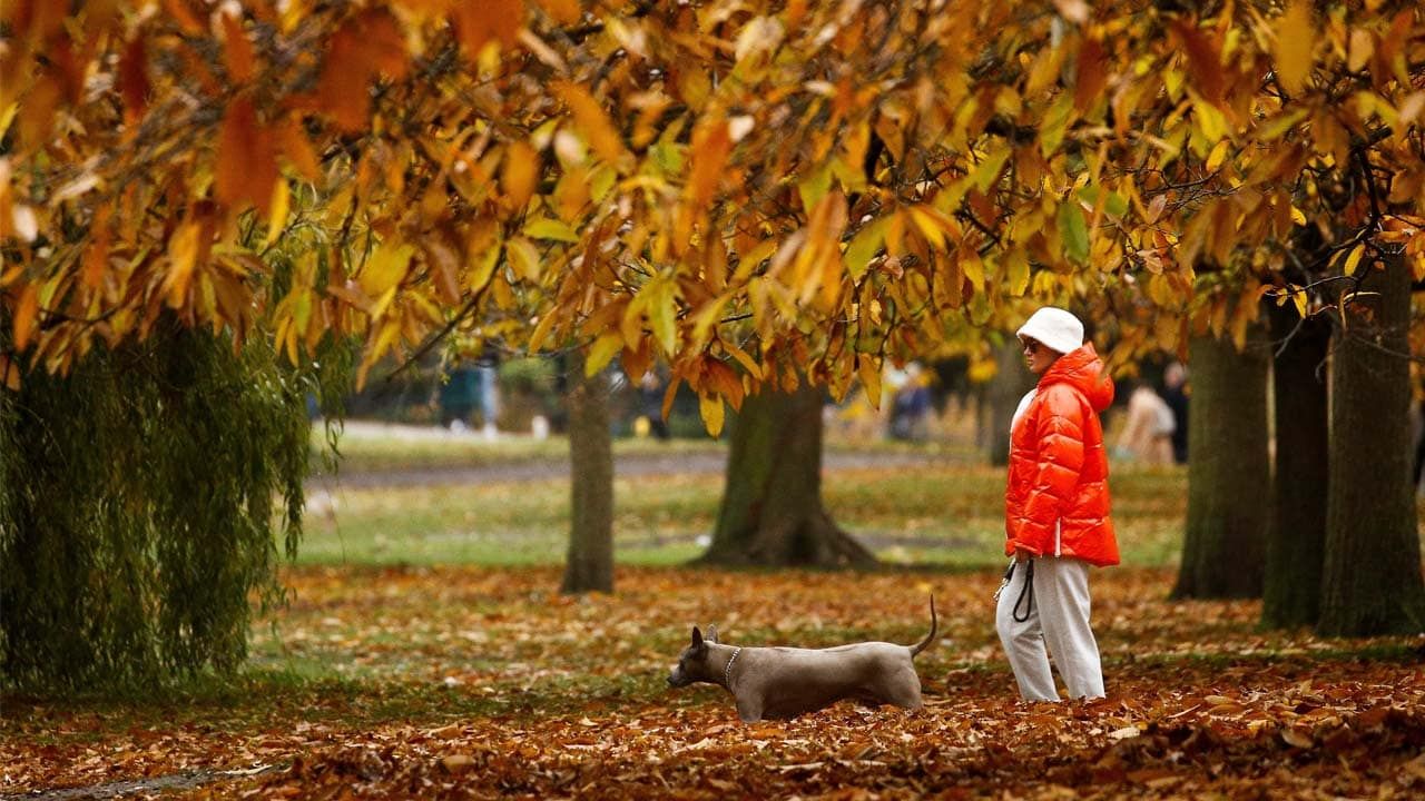 Погода на 4 листопада 2021 в Україні: що прогнозують синоптики Погода на 4 листопада 2021 в Україні: що прогнозують синоптики